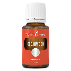 YL Cedarwood Essential Oil