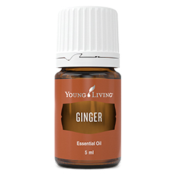 YL Ginger Essential Oils