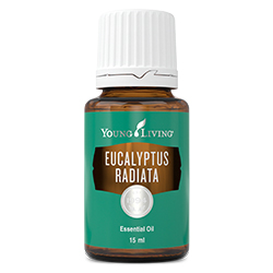 YL Eucalyptus Radiata Essential Oil