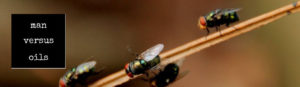 Essential Oils to Keep Bugs Away - Flies
