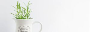 5 Rosemary Essential Oil Uses for Men - rosemary in a cup