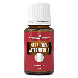 Young Living Melaluca Alternifolia Essential Oil