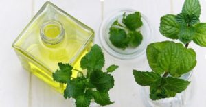 Peppermint Essential Oil Uses for Men