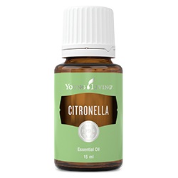 YL Citronella Essential Oil