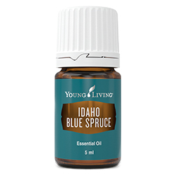 YL Idaho Blue Spruce Essential Oil