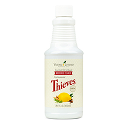 YL Thieves Household Cleaner